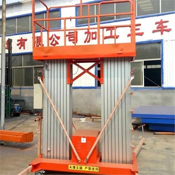 雙柱鋁合金升降機 雙柱鋁合金升降機
