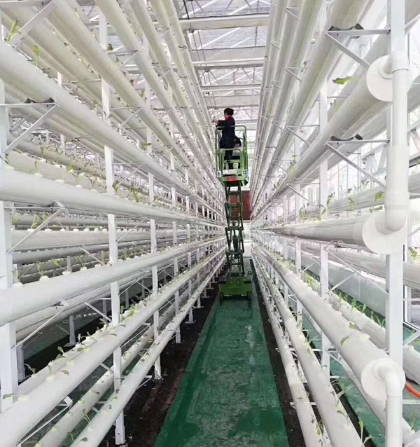 微型自行走升降平臺 