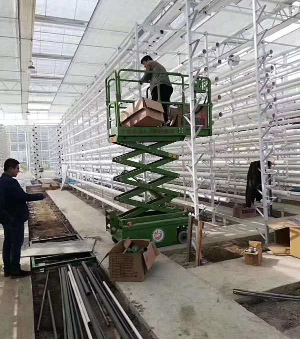 微型自行走升降平臺 